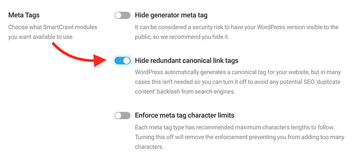 hide redundant canonical tags.