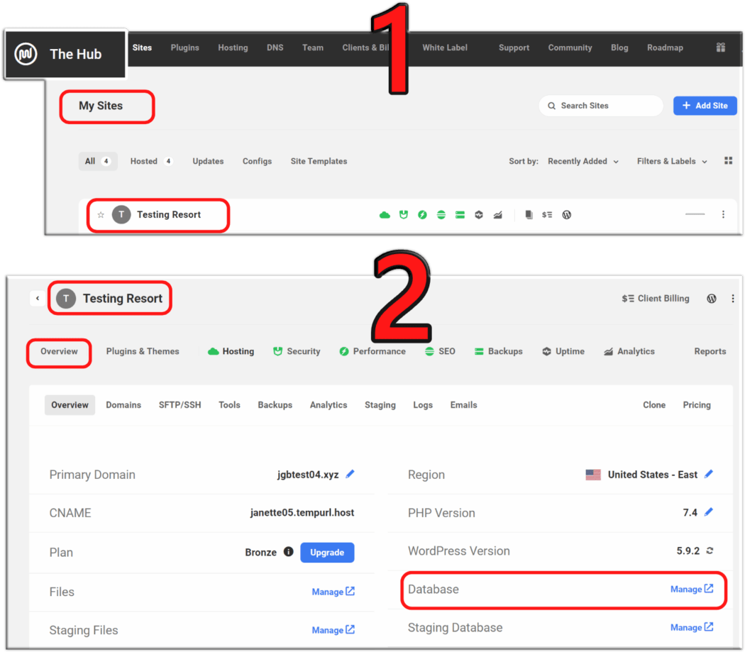 WP DB access via The Hub