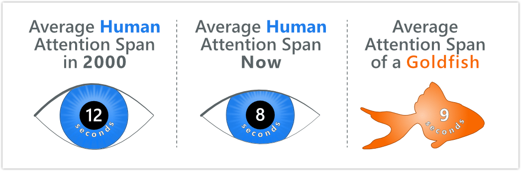 average attention spans