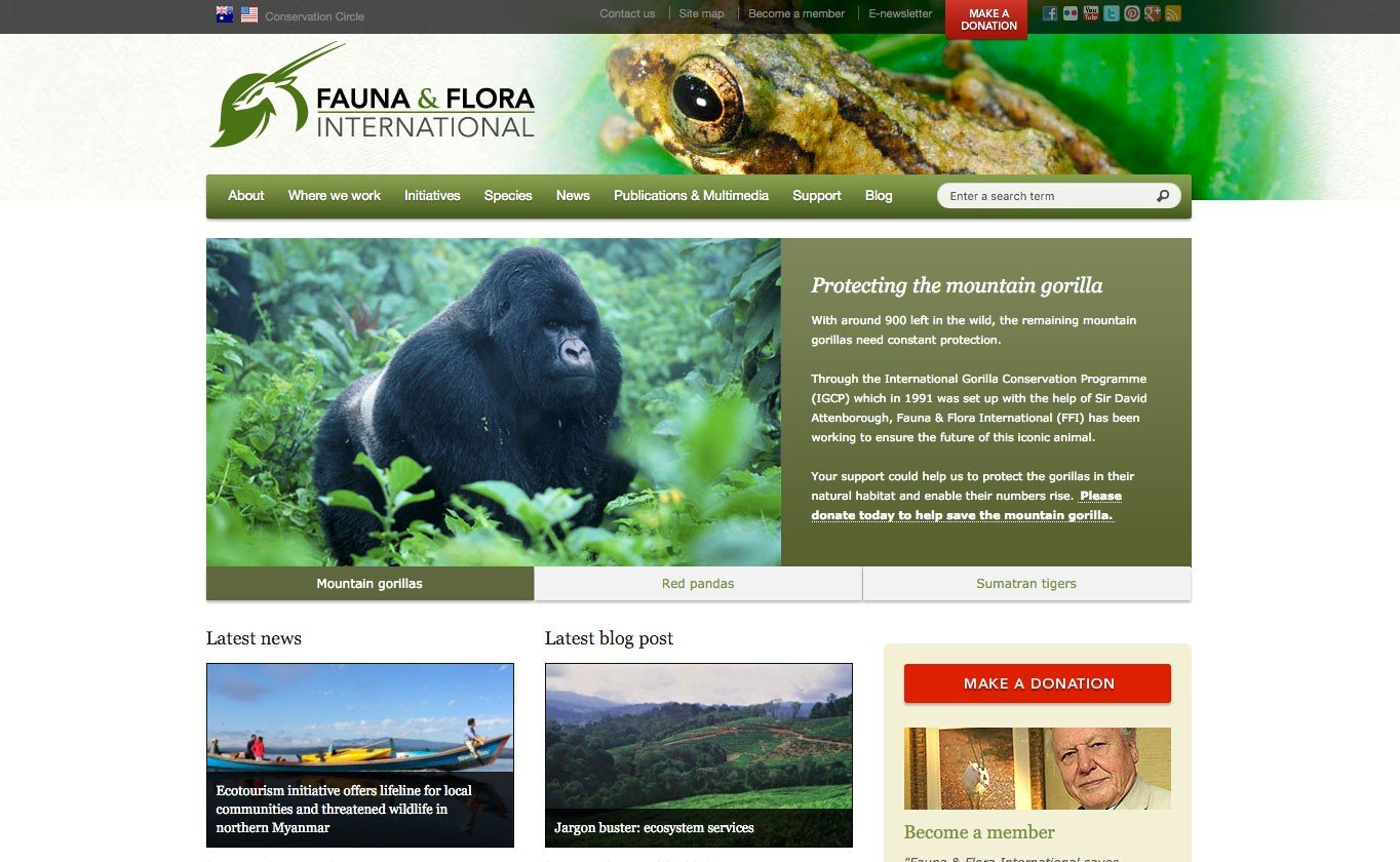 Fauna & Flora International also uses a custom WordPress theme.
