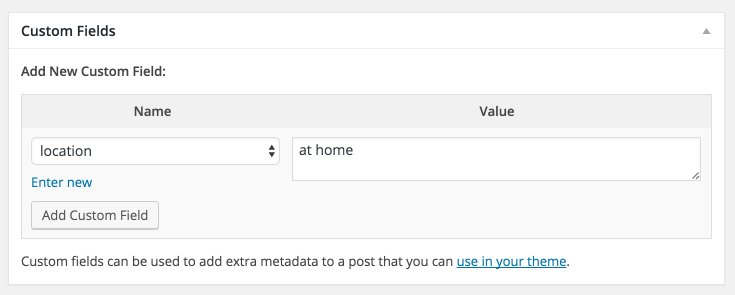 WordPress Custom Fields