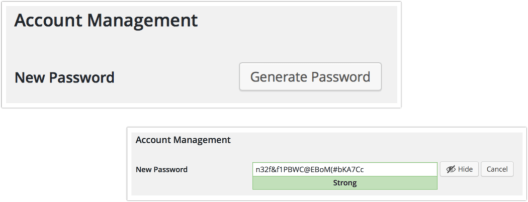 WP auto generate password