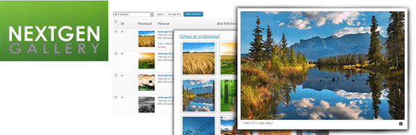 Slowest WordPress Plugins - NextGen Gallery Plugin