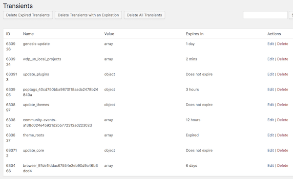 Transients Manager shows transients and expiry date