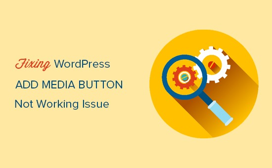 Learn how to Repair Upload Media Button Now not Operating in WordPress