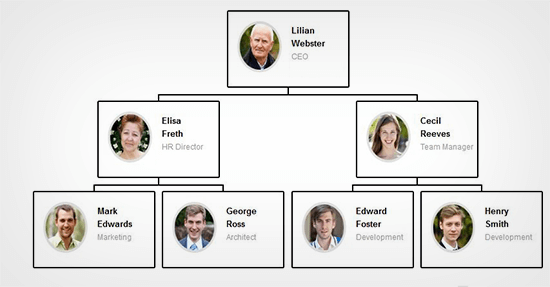 Organizational Chart