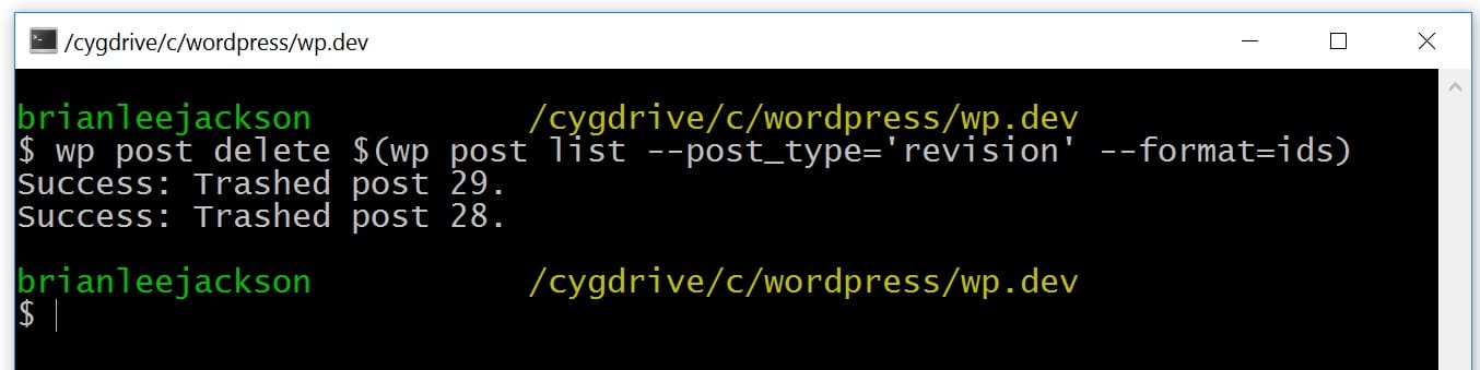 wp-cli delete wordpress revisions