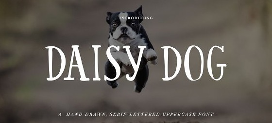 The Daisy Dog font.