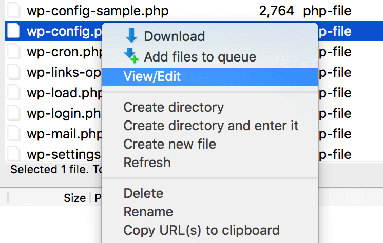 The View/Edit option in FileZilla.