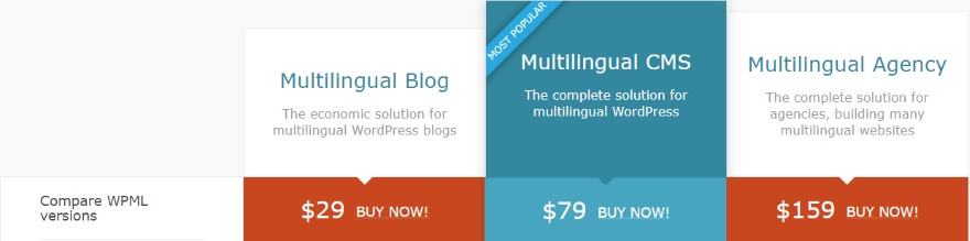 Tips on how to Create a Multilingual Web page with Divi or Additional and WPML