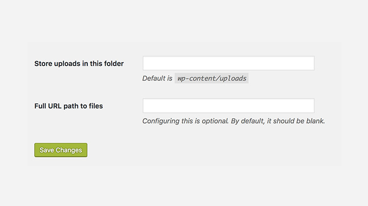 new input fields