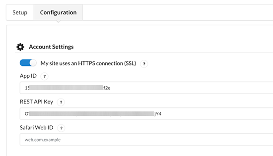 Paste API Keys