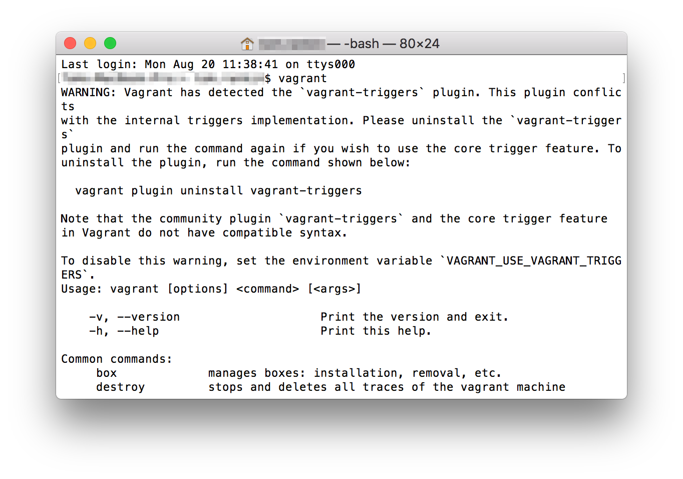 Checking the Vagrant installation via the Terminal.