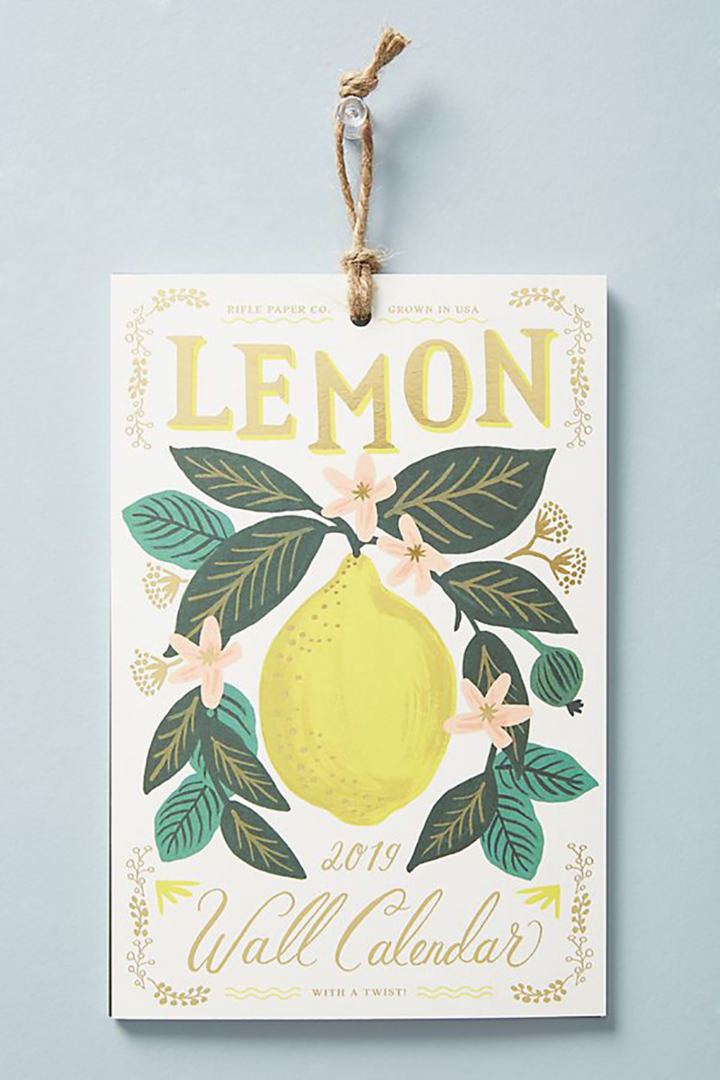 Lemons 2019 Calendar