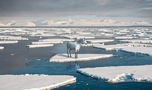 global warming poster ads