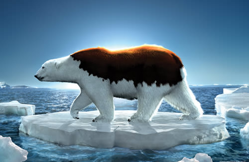 global warming poster ads