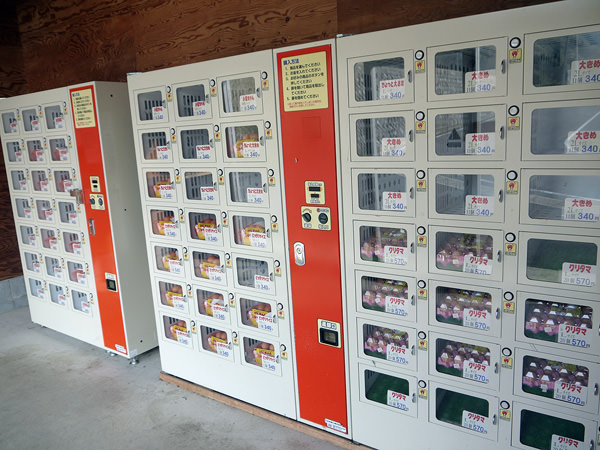 eggs-vending-machine