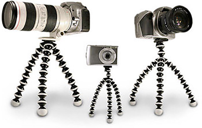 gorilla pod