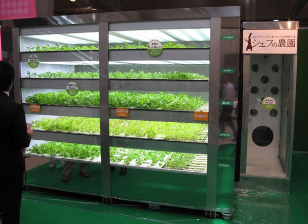 lettuce-vending-machine