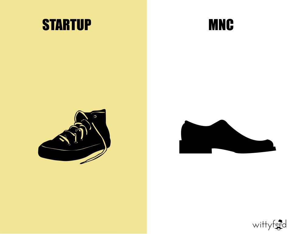 mnc vs startup