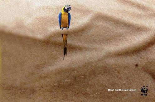 WWF- Don't cut the rain forest ad