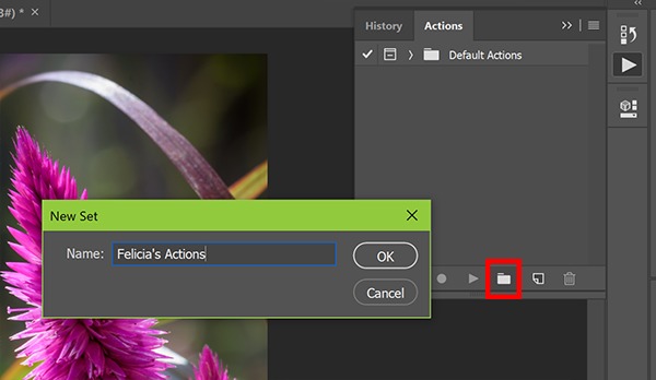 Screenshot of Photoshop Actions Box