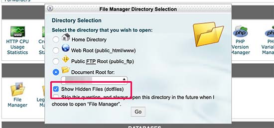 Show hidden files in cPanel