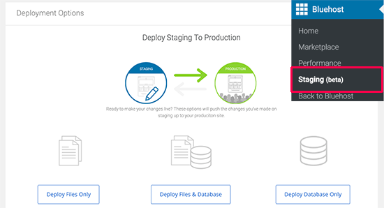 Deploy staging to live website on Bluehost