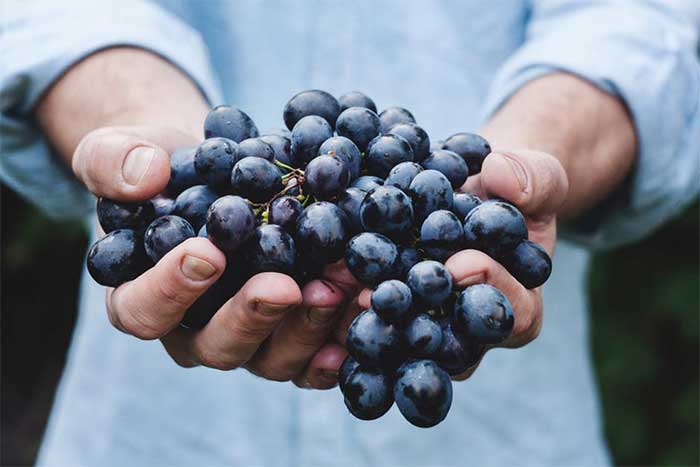 pick low hanging fruits