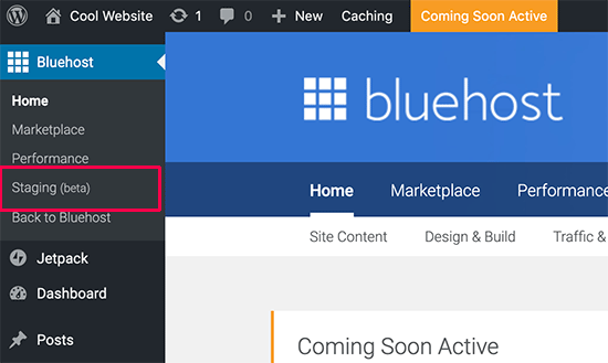 Staging site option on Bluehost