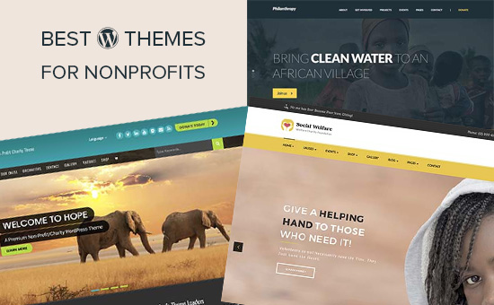 21 Very best WordPress Issues for Nonprofit Organizations