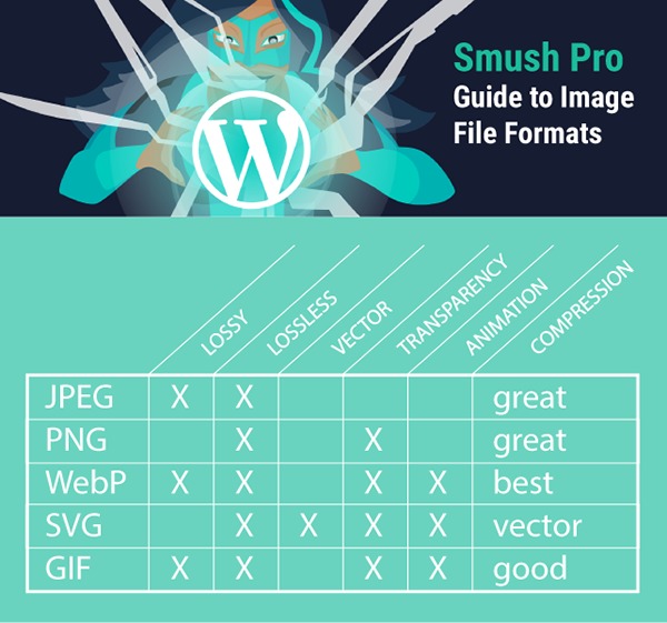 diagram summarizing capabilities for JPEG, SVG, PNG, WebP and GIF
