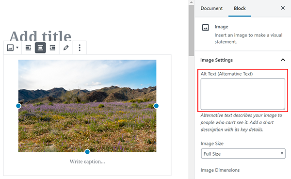 Screenshot where to add alt text in image block