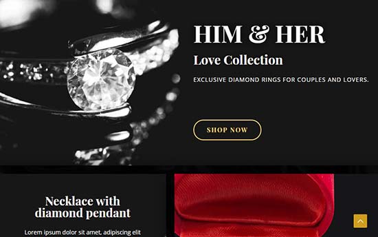 Astra Jewellry Astra Jewellry