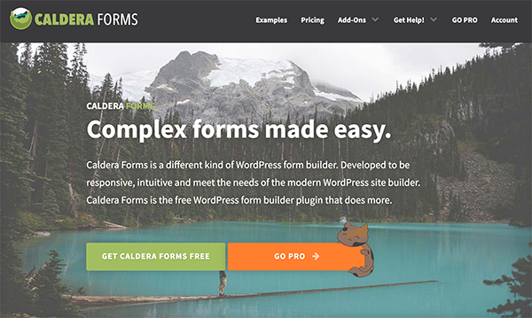 Screenshot of Caldera Forms Home Page