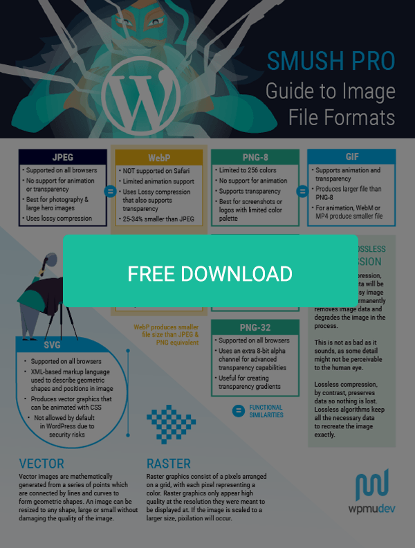 Image file format infographic