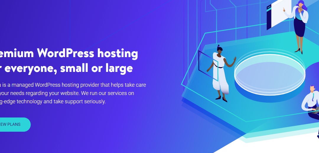 Kinsta Controlled WordPress Web hosting: An Assessment and Evaluate