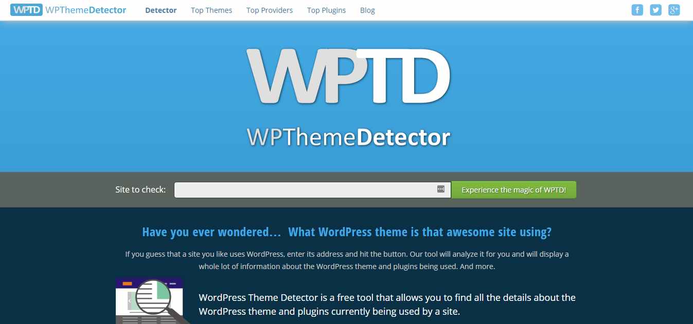 WP Theme Detector