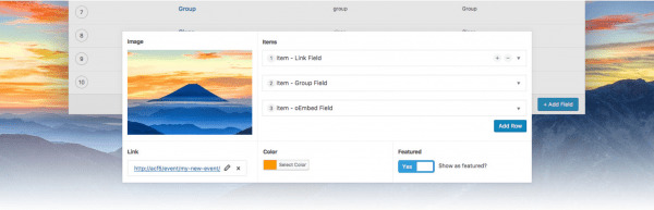 Advanced Custom Fields - A powerful WordPress customization plugin.