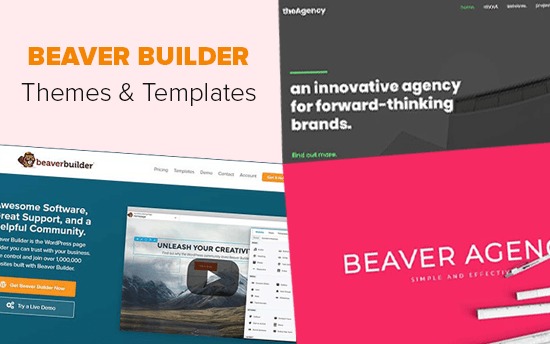Beaver Builder Themes and Templates