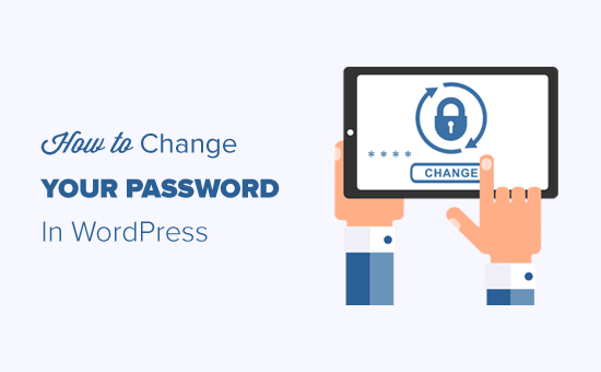 Exchange Your Password in WordPress (Amateur’s Information)