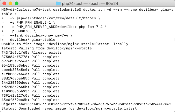 Installing Nginx Docker Image