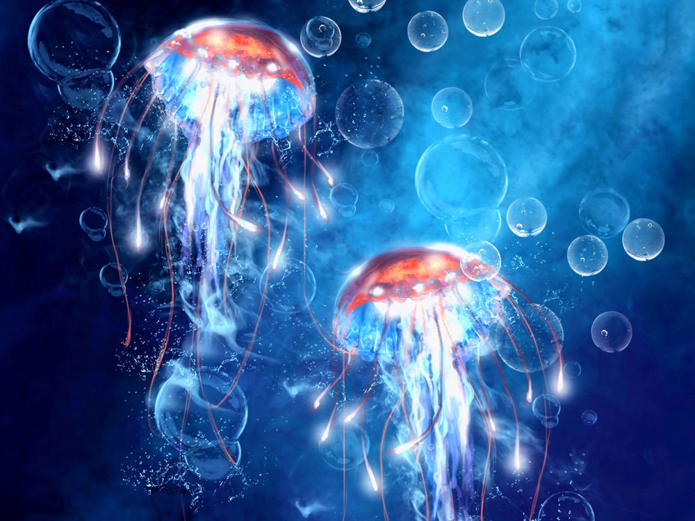 jellyfish-wallpaper
