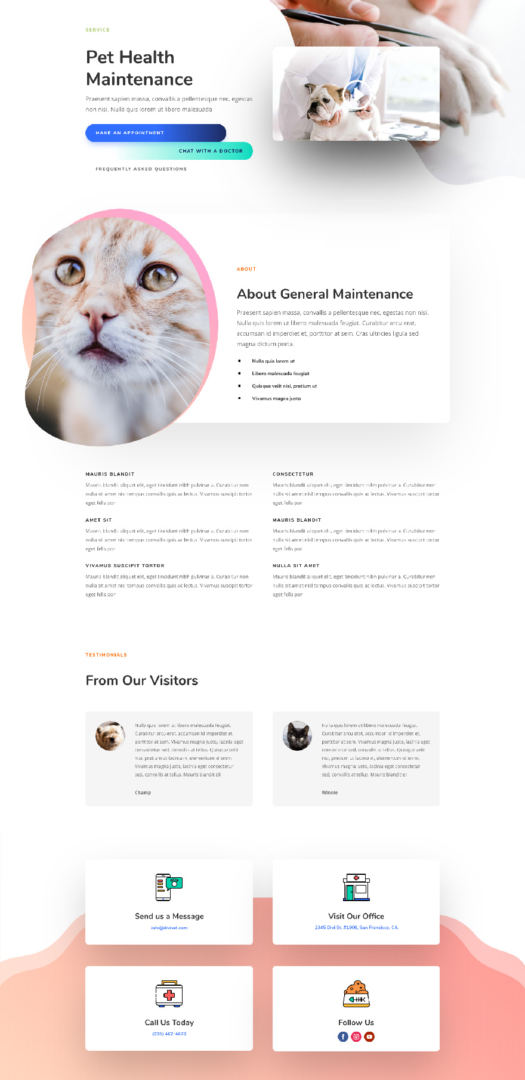 veterinarian layout pack