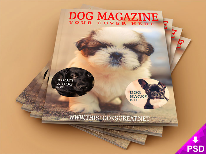 animal-magazine