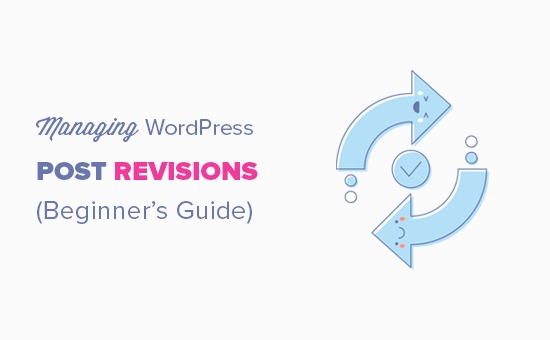 Managing the WordPress post revisions