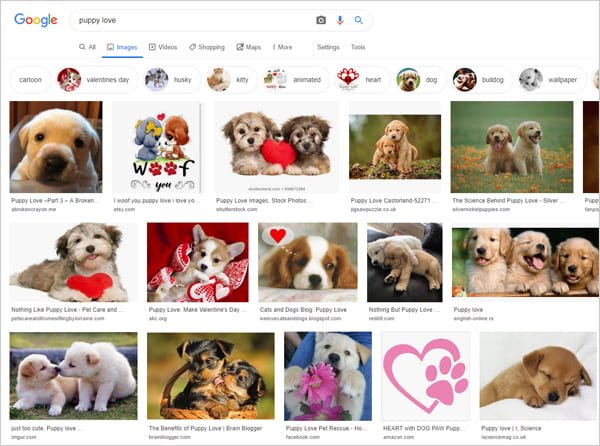 Google images search results for keyphrase 