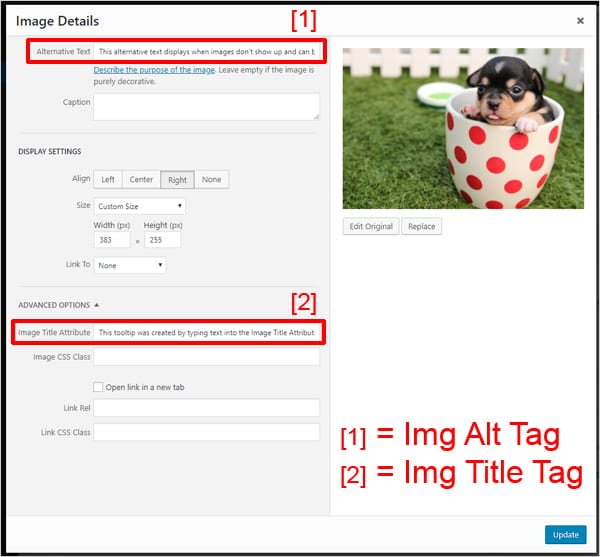 Image Details screen with Alternative Text and Image Title Attribute fields highlighted.