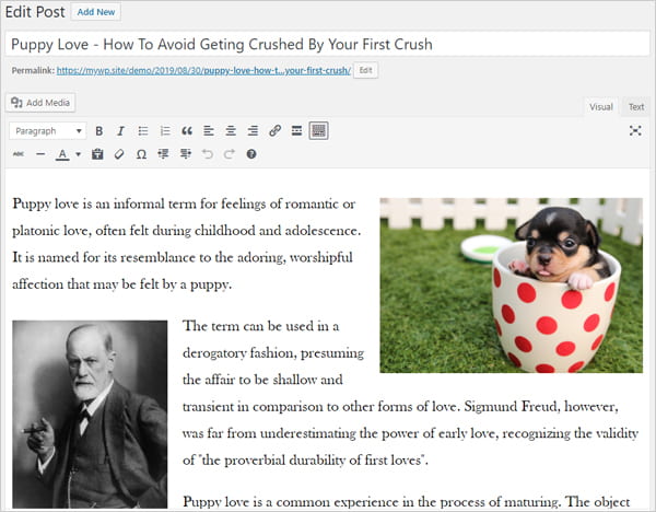 Sample post with a picture of a puppy and a photograph of Dr. Sigmund Freud.