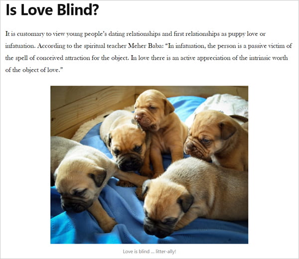 Sample post image with text and picture of a puppy litter.